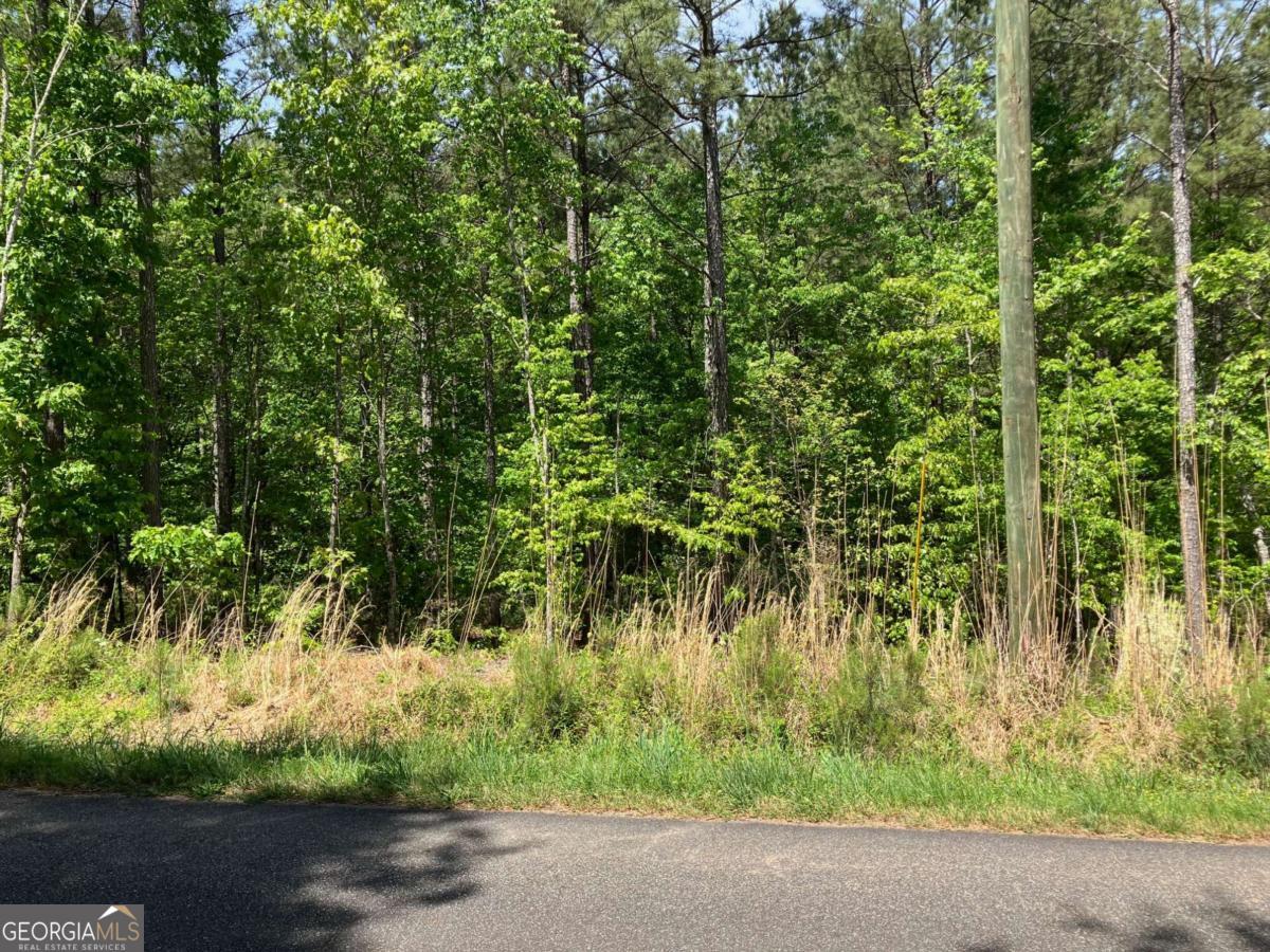 325 Rock Fence RD NW