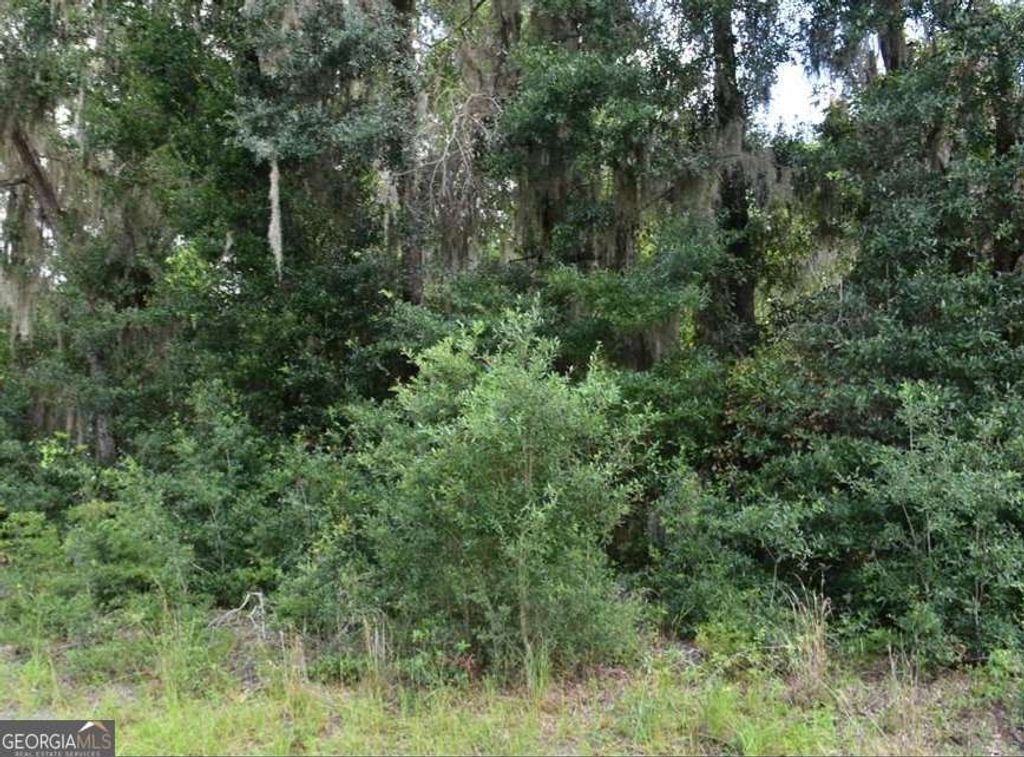 Photo of 42 Japonica Drive, Midway, GA 31320 (MLS # 10704556)