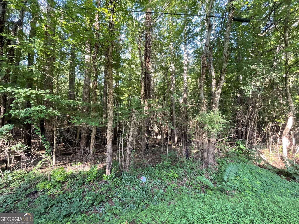 Photo of 7154 Old Highway 411, Chatsworth, GA 30705 (MLS # 10822153)