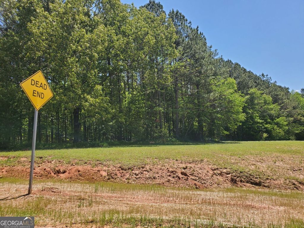 Photo of 110 Hogan Pond Lane, Ball Ground, GA 30107 (MLS # 10684220)