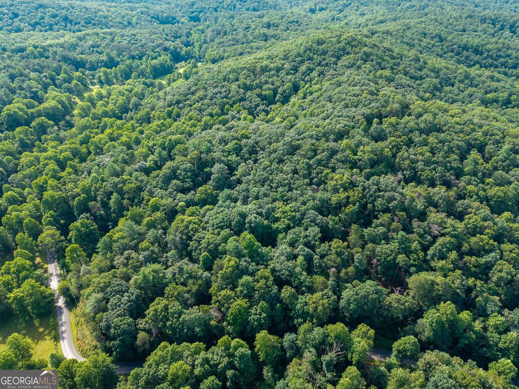 Photo of 5198 Flat Branch Road, Ellijay, GA 30540 (MLS # 10794675)