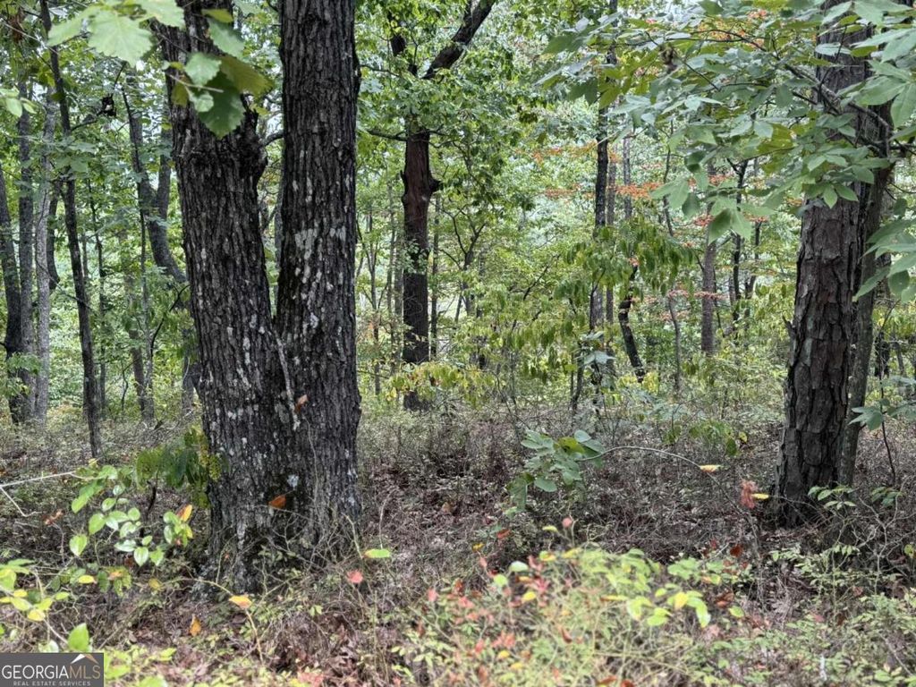 Photo of 1417 Foxhound Trail NE, Ranger, GA 30734 (MLS # 10710487)