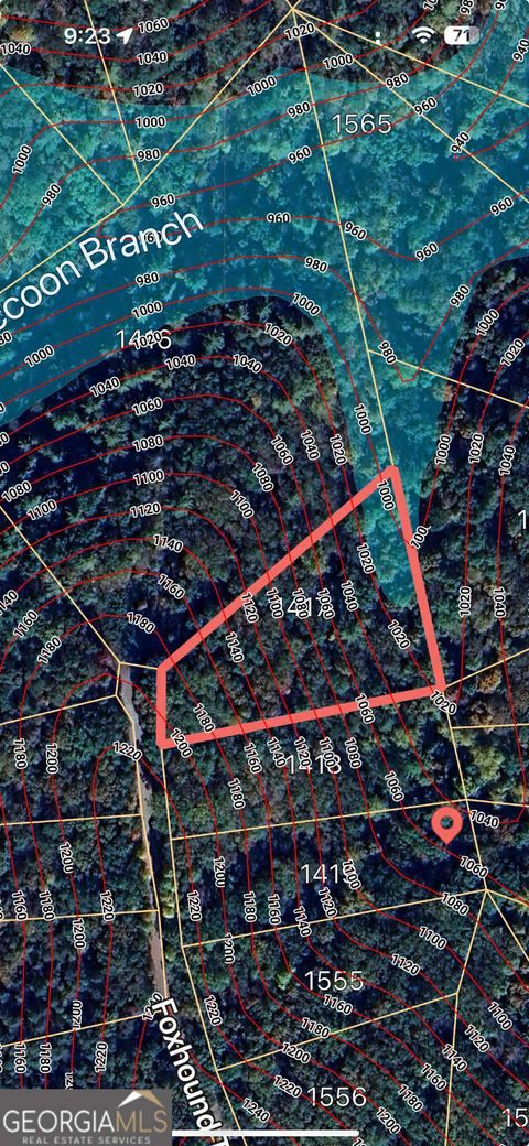 Photo of 1417 Foxhound Trail NE, Ranger, GA 30734 (MLS # 10710487)