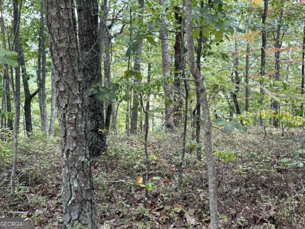 Photo of 1417 Foxhound Trail NE, Ranger, GA 30734 (MLS # 10710487)