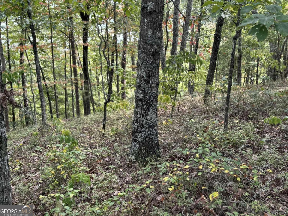 1417 Foxhound TRL NE