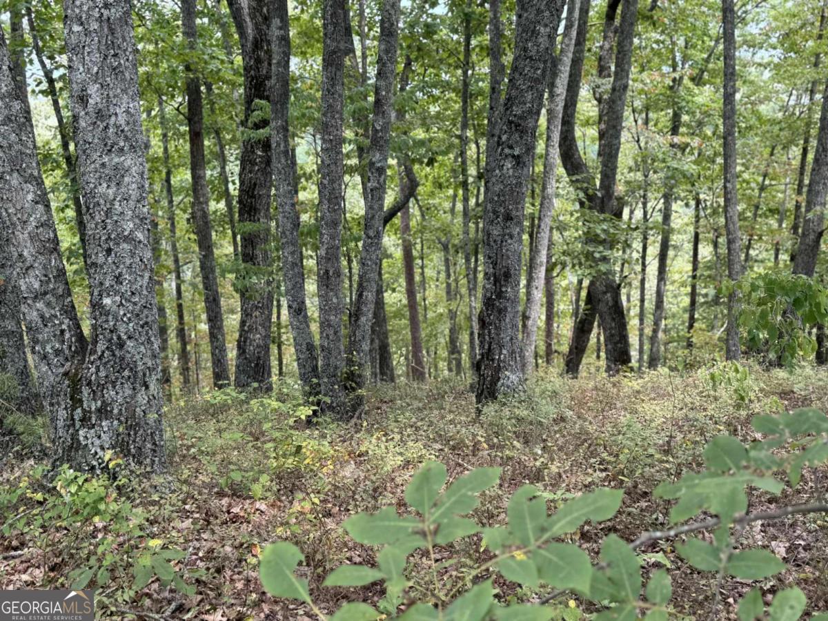 1417 Foxhound TRL NE