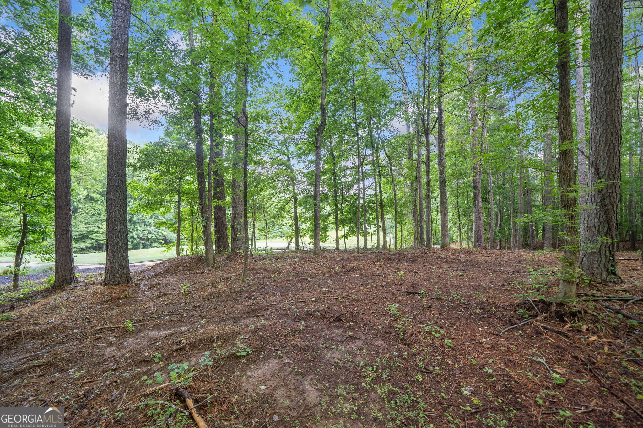 14880 Freemanville RD