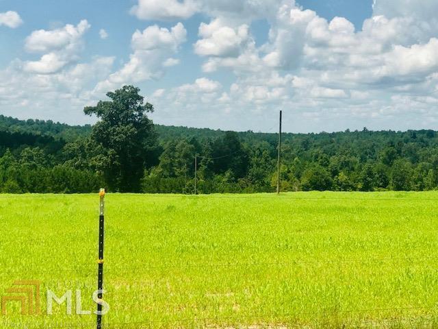Desired Land for Hunting, Recreation, or Home place. This tract offers 118.83 acres with @ 3 acre pond. The pond is @18 foot deep and is stocked. The pine trees are @10 years old and property has a great road system. A dove field sits on top of hill overlooking pond. This property has a camp site, great cabin/home building site at pond, wild game hunting, fishing, and privacy. This property is located just minutes from Highway 441 and Highway 57.