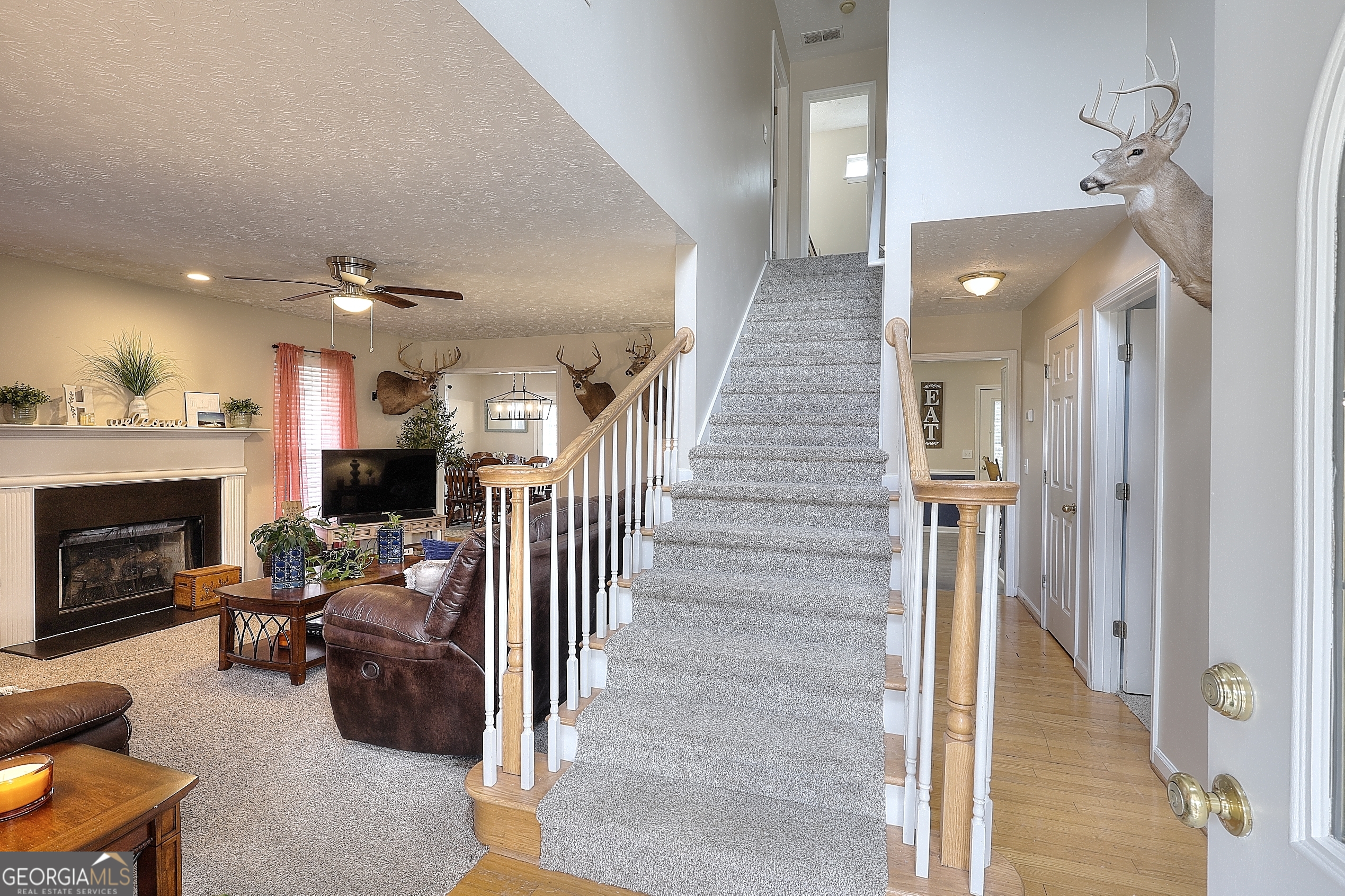 Vinnys Lake - Residential