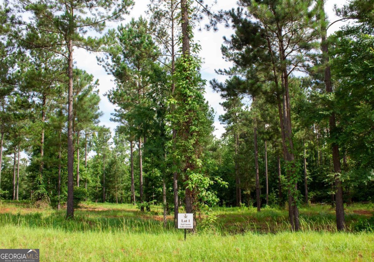Lot 1 is 5.63 ac with Lake Access and is Located in the New Gated Subdivision "Overlook At Pea Ridge" on Pea Ridge Road. The subdivision is situated on 118 acres with a beautiful gated entrance, rolling woodland vistas highlighted by a private 15 ac lake with private docks for waterfront lots and a lake access area with shared docking on community island for off water & equestrian lots great for private parties or community get togethers. Overlook is perfect for those who love the outdoors and want more privacy to relax and unwind while taking in scenic views, fishing, paddle boarding or kayaking. Best of all it is conveniently located between Lake Oconee & Lake Sinclair!