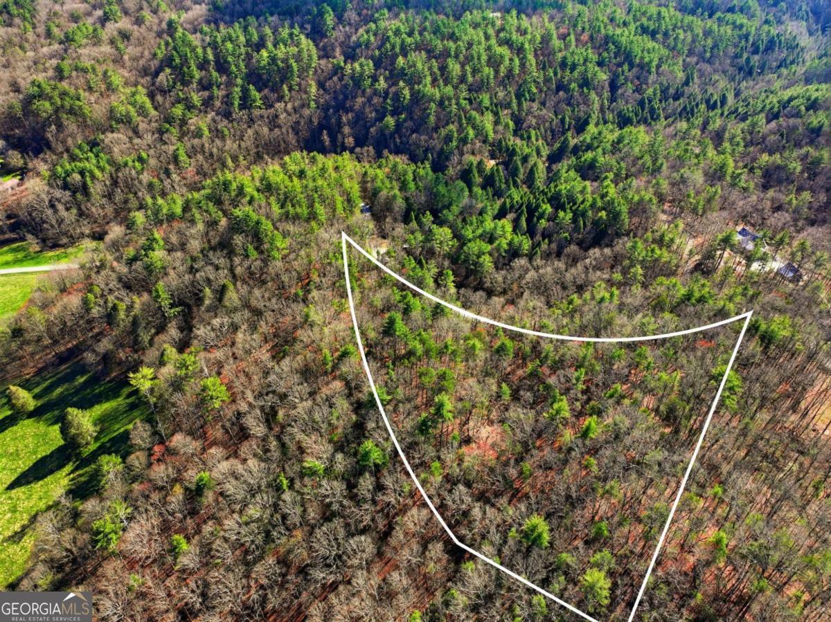 LOT 24 Pickett Mill LN