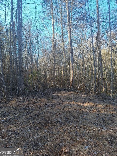 0 Bent Wood LN Blue Ridge GA 30513