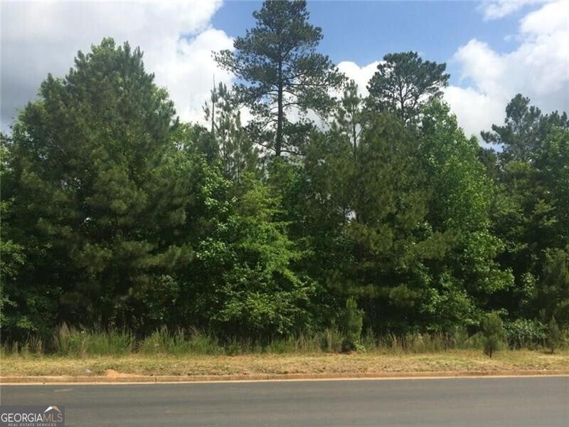 Photo of 212 Ace Way, Canton, GA 30115 (MLS # 10813503)