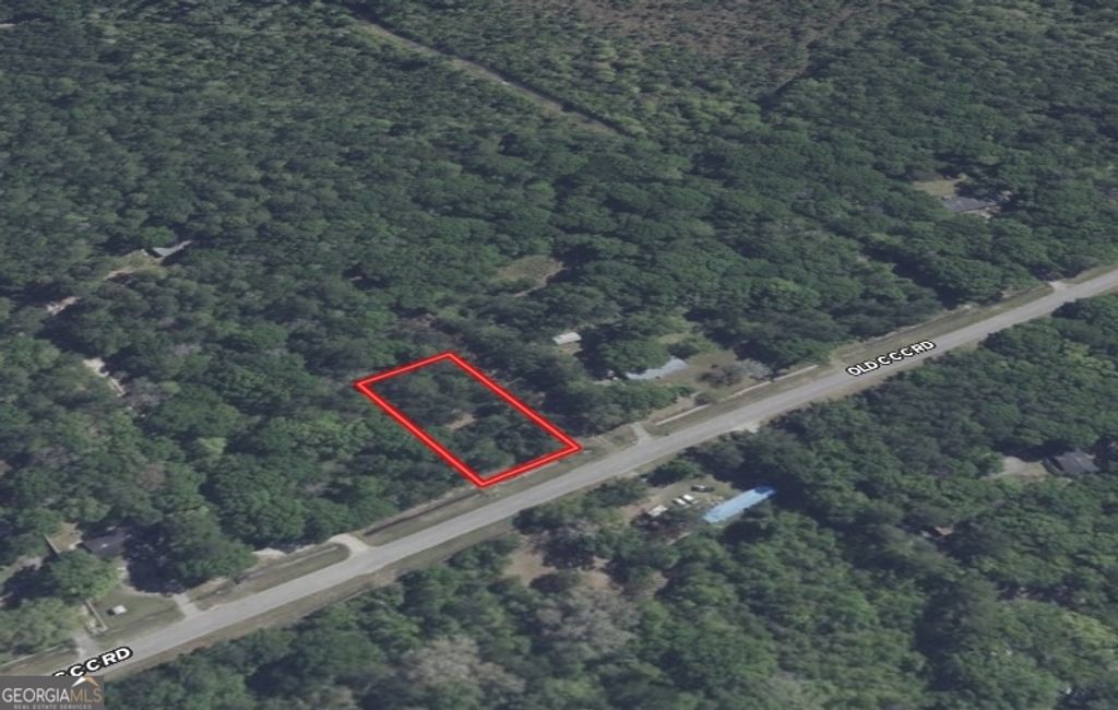 Photo of 638628 Old Ccc Road, Brunswick, GA 31523 (MLS # 10685154)