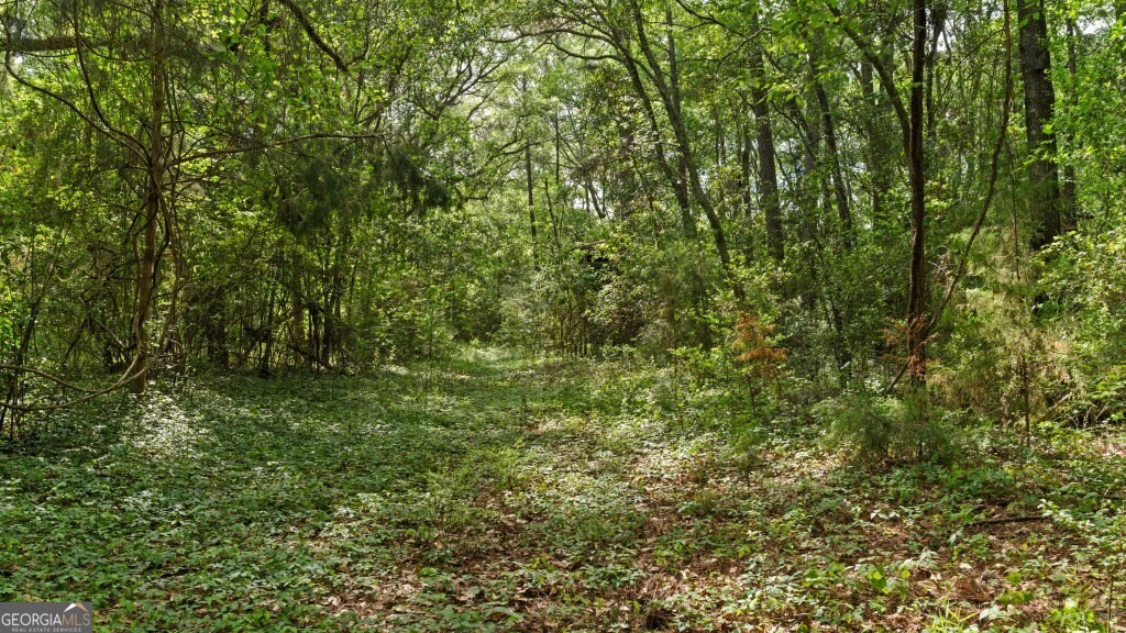 1 Coakley and Slade AVE