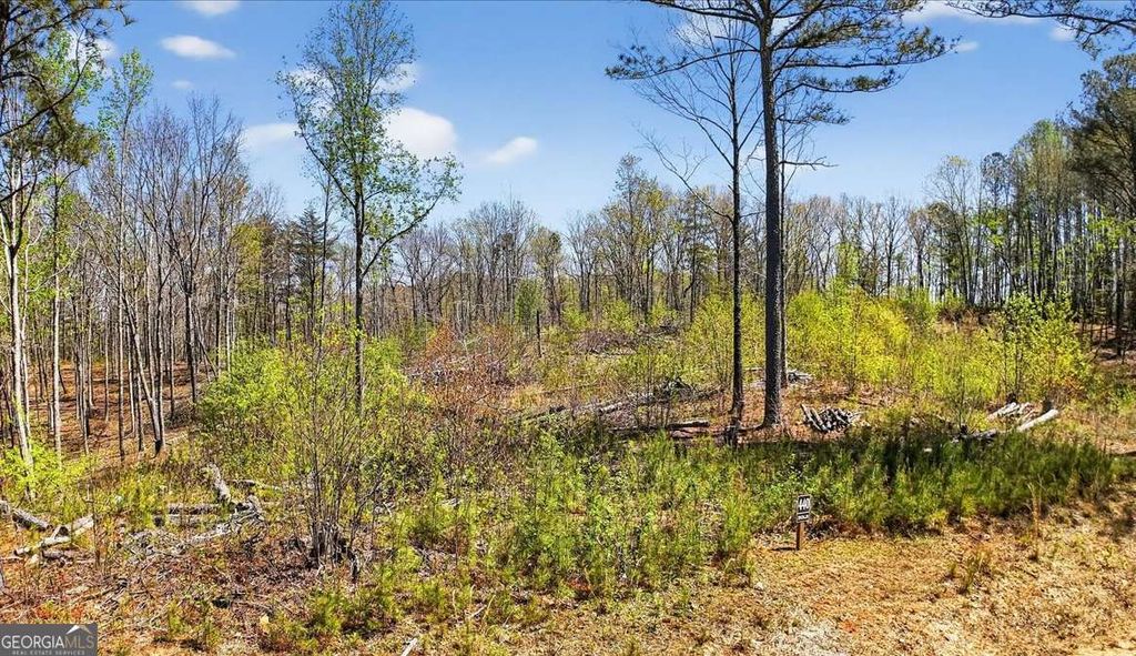 Photo of 0 Twisted Oak Road #LOT 440, Talking Rock, GA 30175 (MLS # 10729367)
