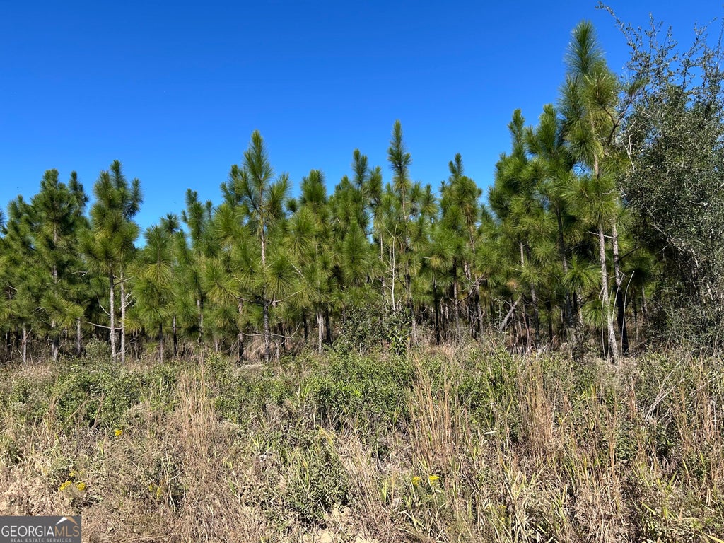 Photo of 141 Hwy 121, Reidsville, GA 30453 (MLS # 10879251)