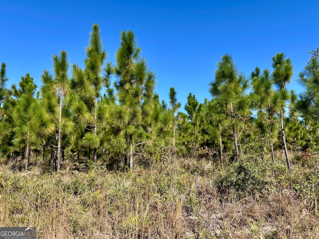 Photo of 141 Hwy 121, Reidsville, GA 30453 (MLS # 10879251)