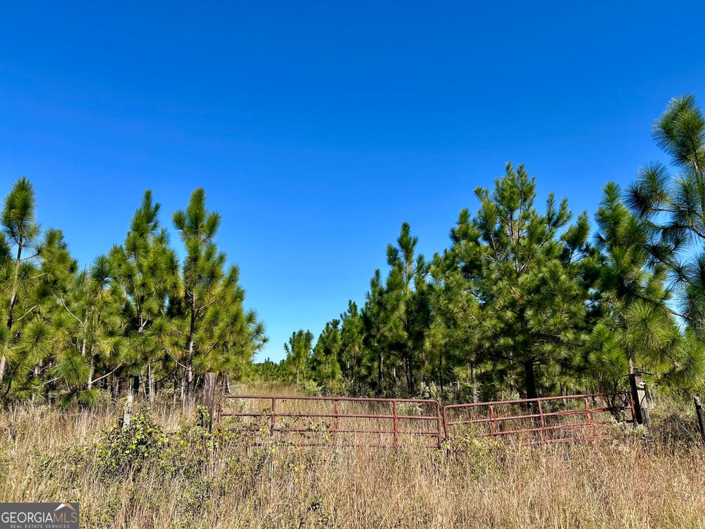 Photo of 141 Hwy 121, Reidsville, GA 30453 (MLS # 10879251)