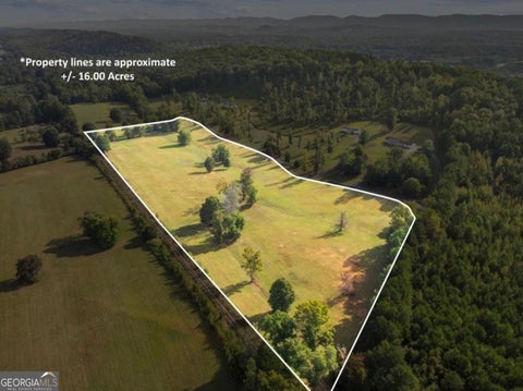 Photo of 00 Cox Road, Summerville, GA 30747 (MLS # 10869815)