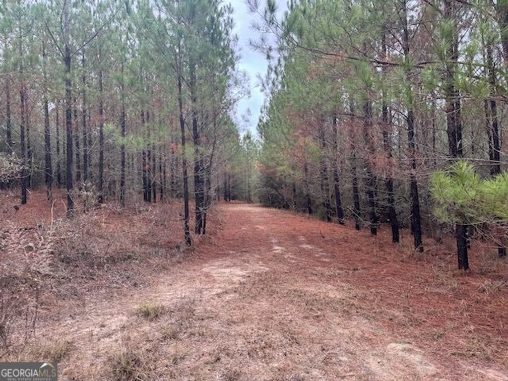 Photo of 6006 Daisy Walker Road, Tennille, GA 31089 (MLS # 10655055)