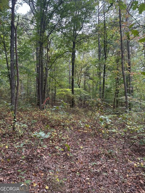 3834 Salacoa -TRACT B Waleska GA 30183