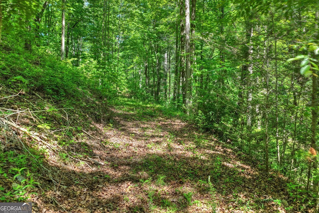 LOT 106 Mountain Creek Hollow DR