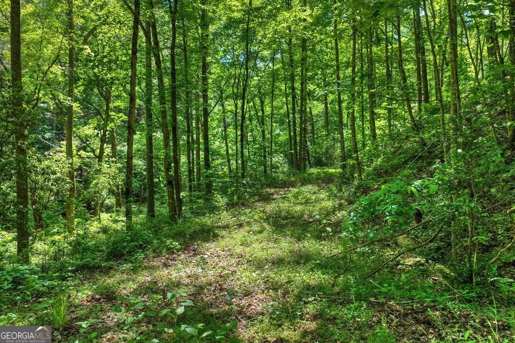Photo of 106 Mountain Creek Hollow Drive, Talking Rock, GA 30175 (MLS # 10773971)