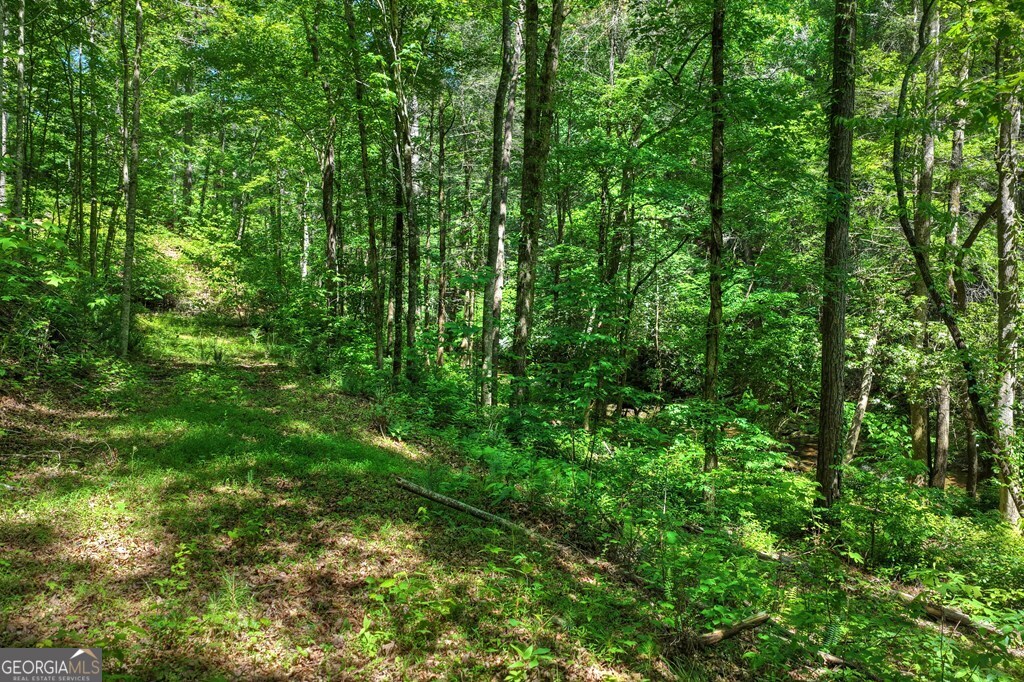 LOT 106 Mountain Creek Hollow DR