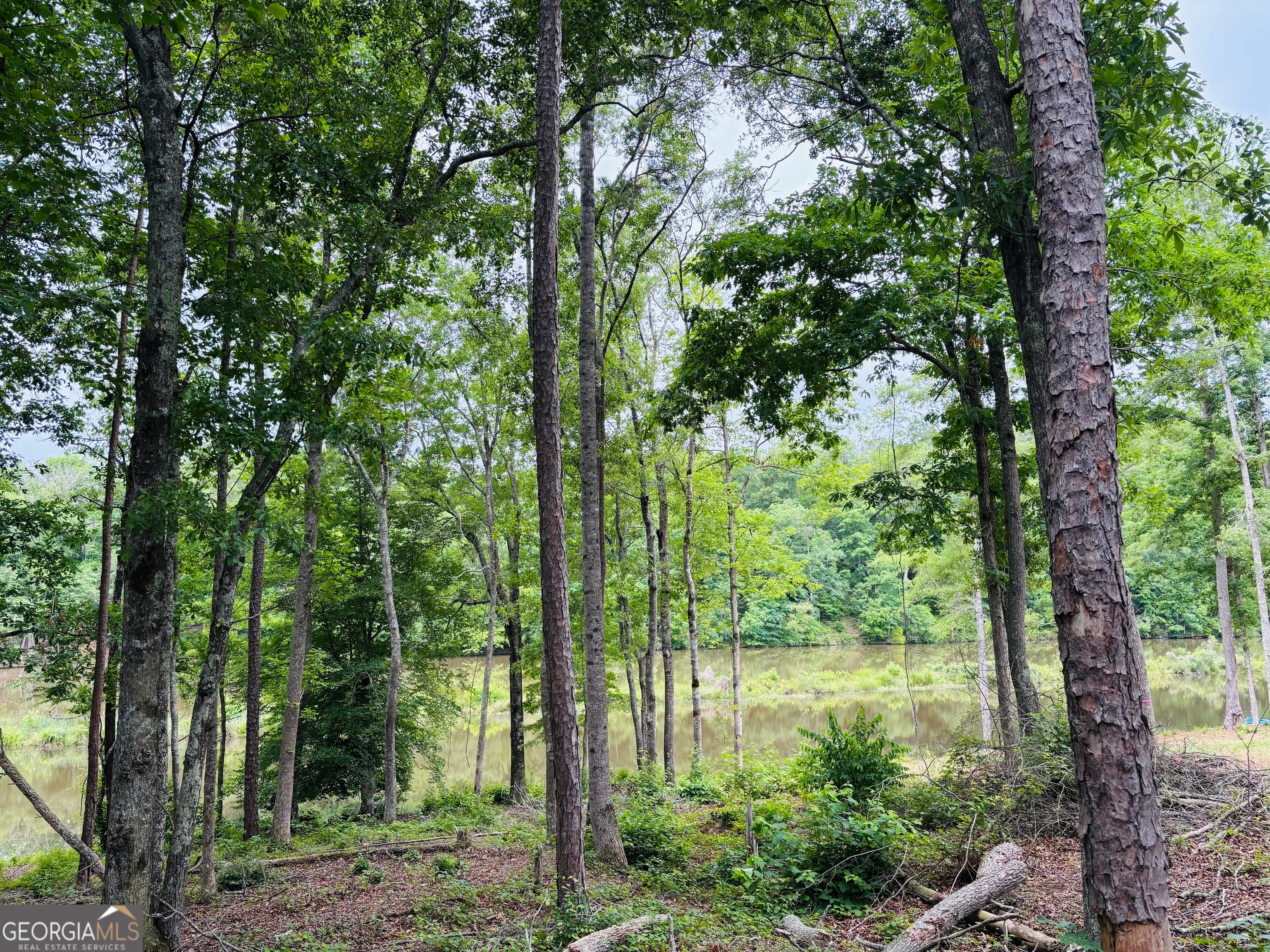LOT 8 County Road 499