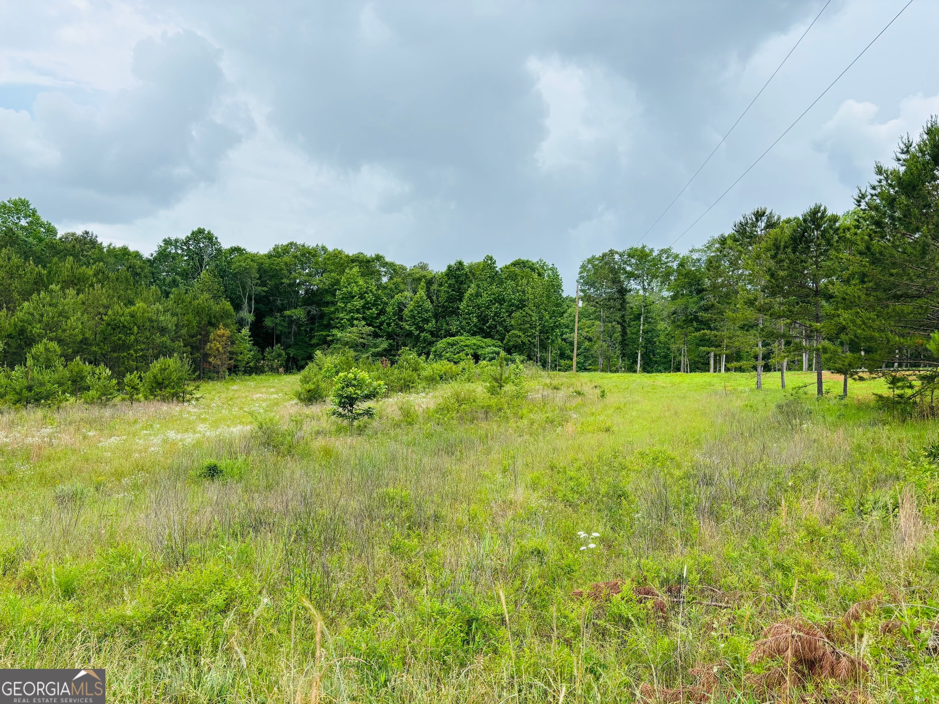 LOT 8 County Road 499