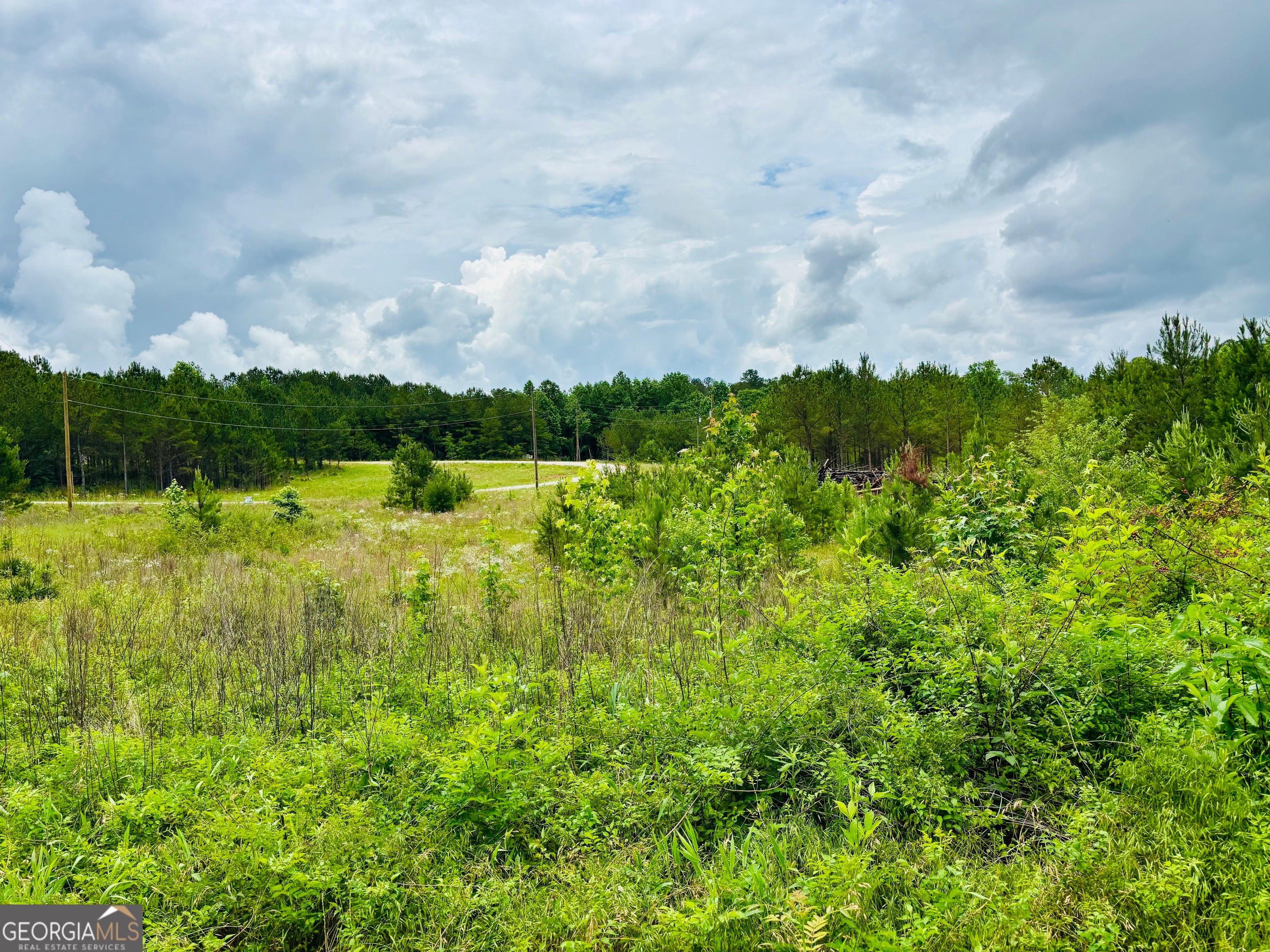 LOT 8 County Road 499