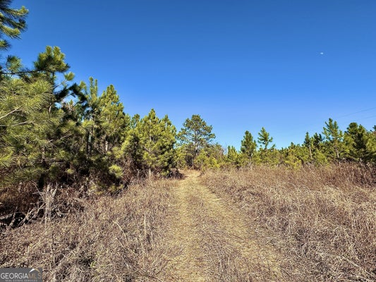 MCDANIEL DR, DEXTER, GA 31019 - Image 337b9bee082581ffc995e86ea5e792bb/2632112677