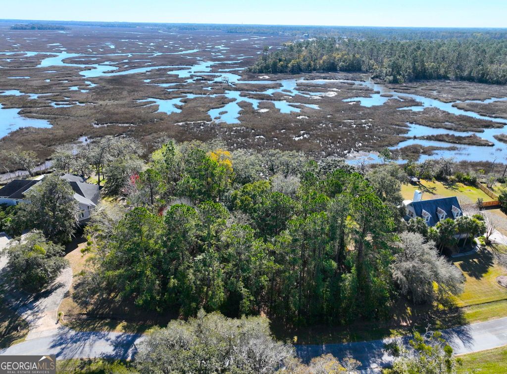 Photo of 0 Bristol Hammock Circle, Kingsland, GA 31548 (MLS # 10770767)