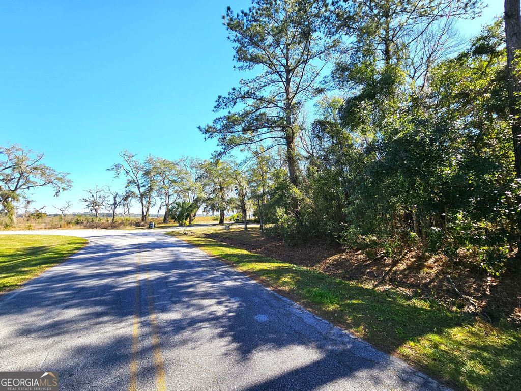 Photo of 0 Bristol Hammock Circle, Kingsland, GA 31548 (MLS # 10770767)