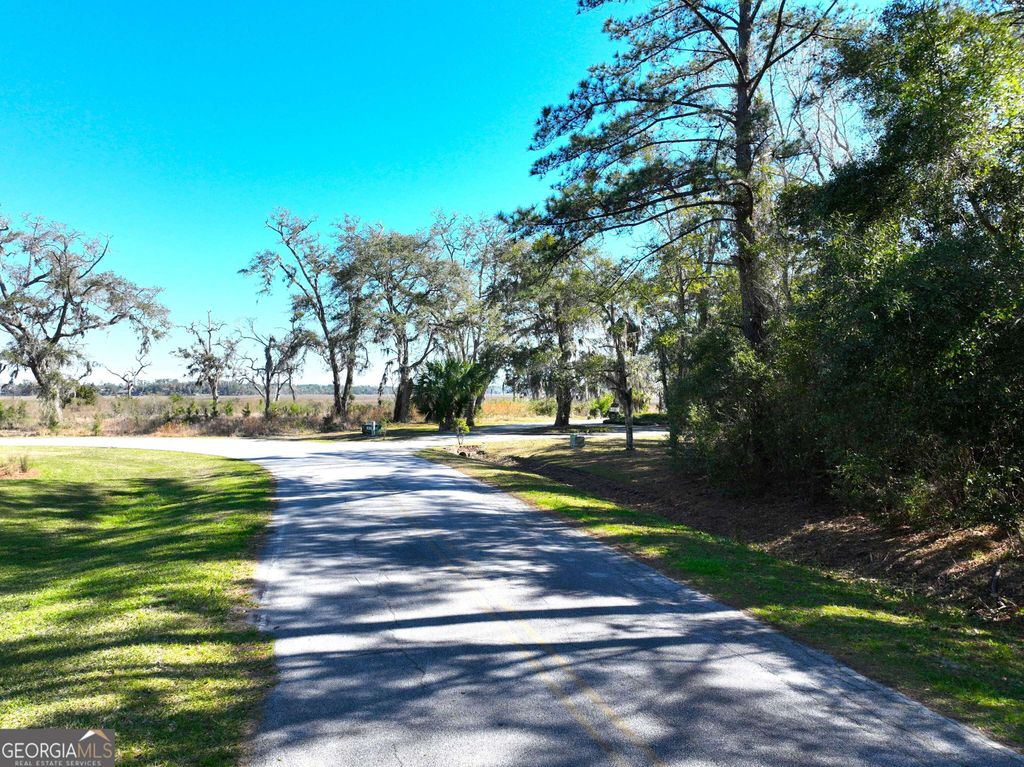 Photo of 0 Bristol Hammock Circle, Kingsland, GA 31548 (MLS # 10770767)