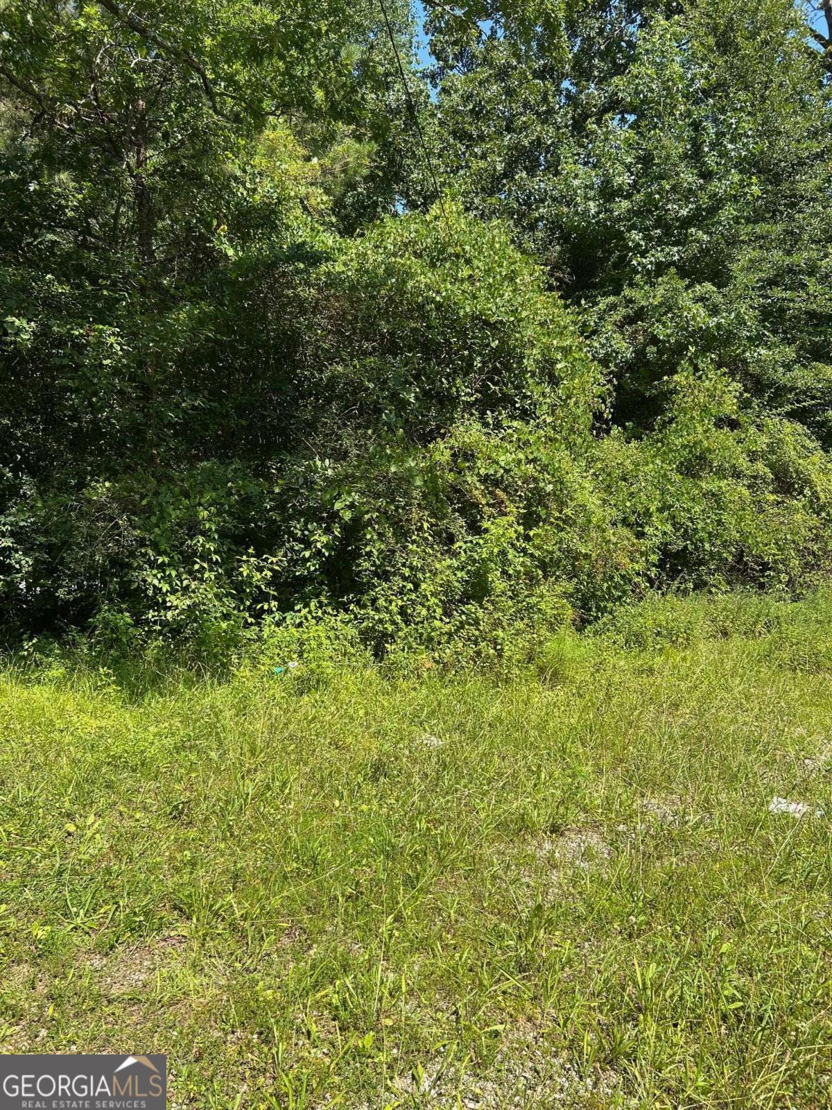 Most of the hard work has been done for you on this beautiful Corner lot - 1.32 Acres ready to build with a great Rockdale County address! It's level with mature trees for privacy and convenient to Hwy 138 and I-20 for your easy commute. Close to schools, shopping, entertainment and Johnson Park. New construction is just down the road on the same street in the $700K price range. Bring your builder, plans and design the home of your dreams! Call Rhonda today for more information.