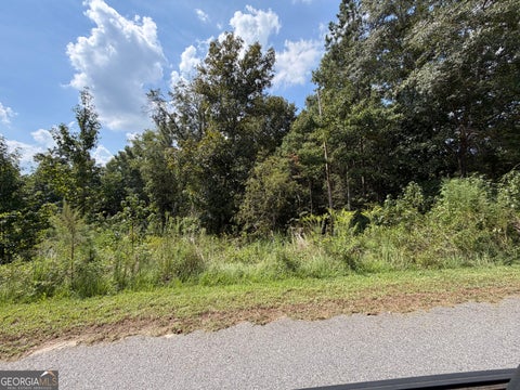 Photo of 304 Shelter Cove, Lizella, GA 31052 (MLS # 10871615)