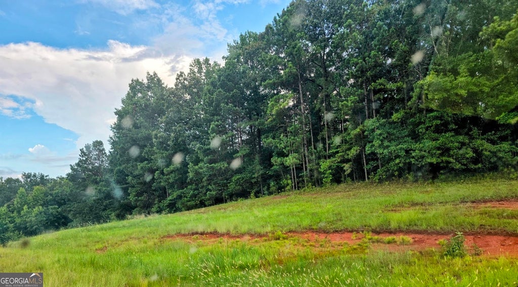 Photo of 19 Highway, Thomaston, GA 30286 (MLS # 10806410)