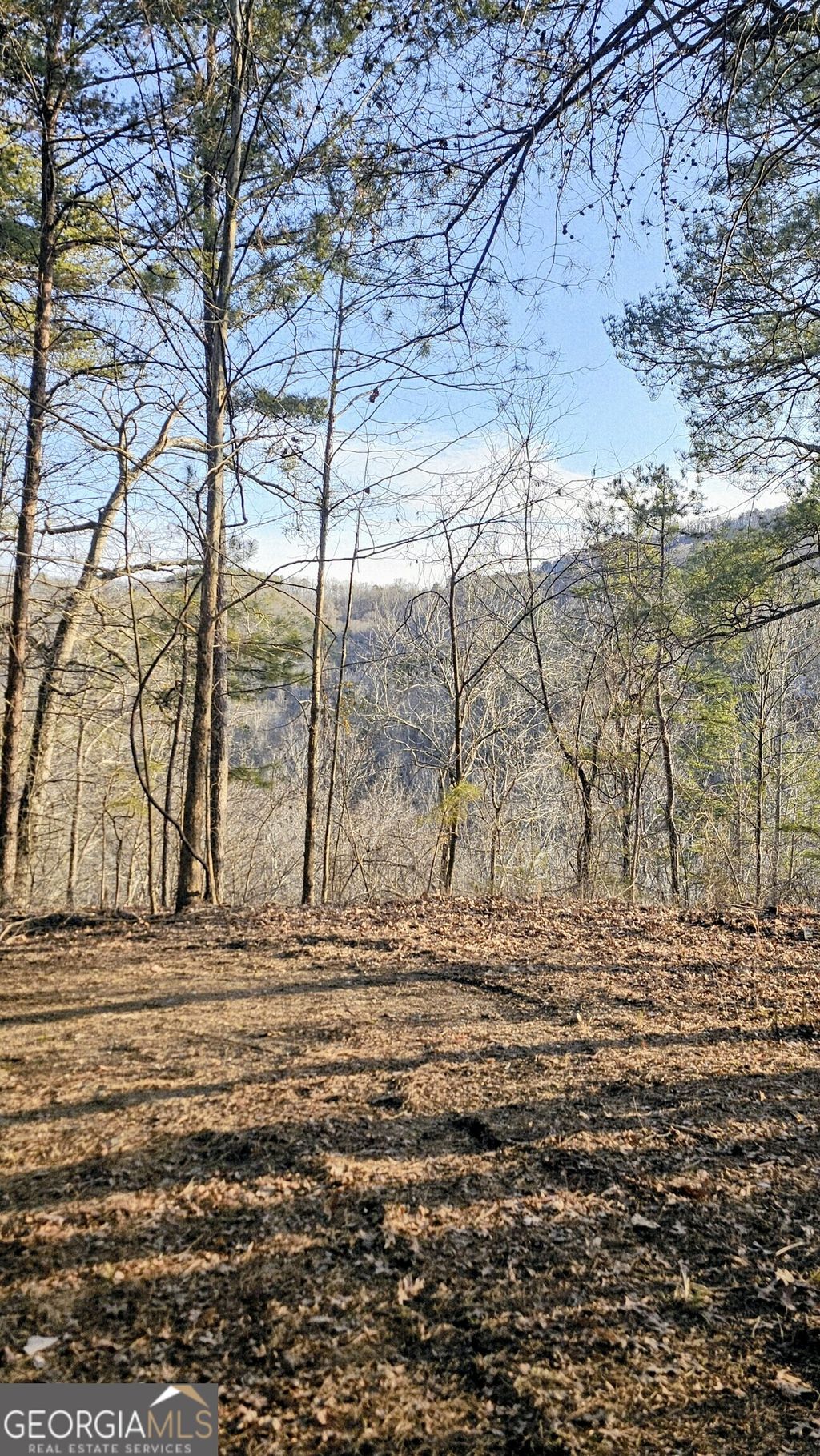 Photo of 137 Abe Court, Ranger, GA 30734 (MLS # 10696361)