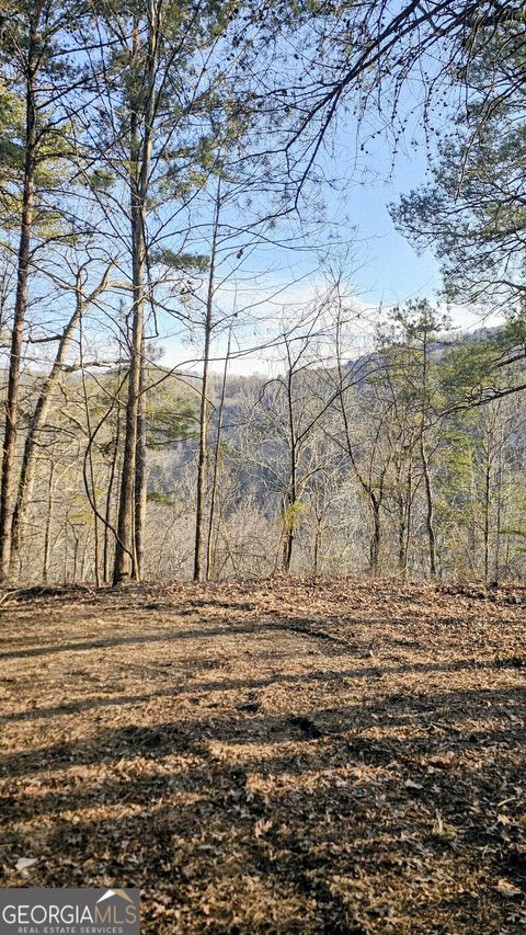 137 Abe CT Ranger GA 30734