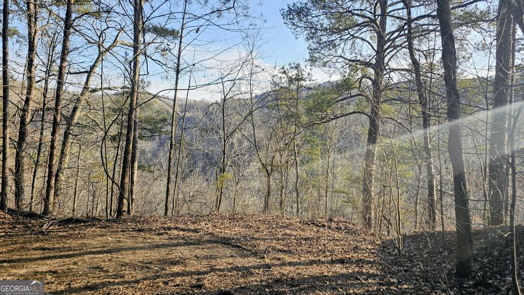 Photo of 137 Abe Court, Ranger, GA 30734 (MLS # 10696361)