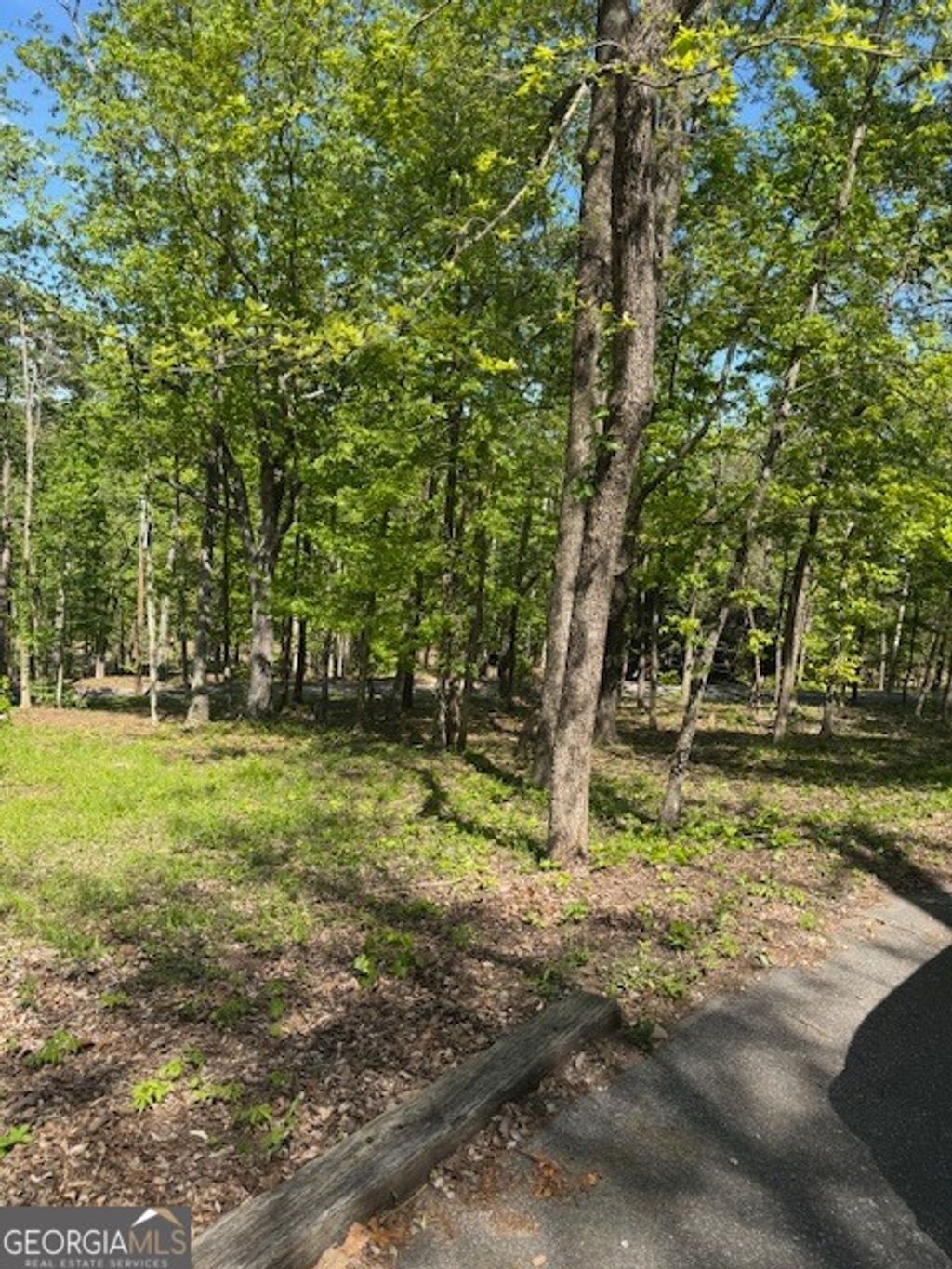 Photo of 40 Royal Lodge Estates, Pine Mountain, GA 31822 (MLS # 10731458)
