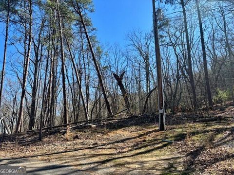 Photo of 125 Gum Wood Court, Waleska, GA 30183 (MLS # 10485881)