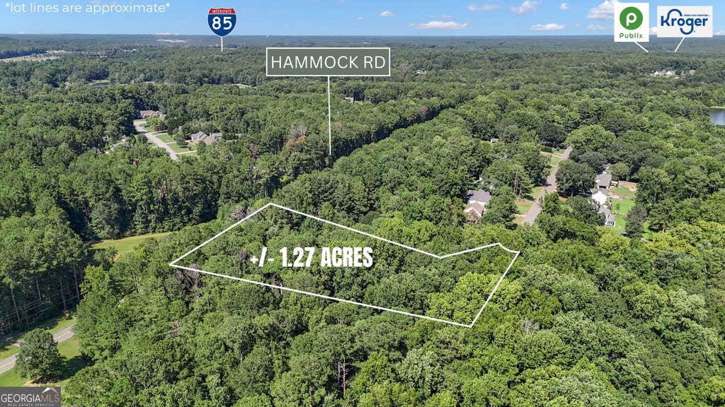 Photo of 13 Wake Field Dr, Newnan, GA 30265 (MLS # 10831221)
