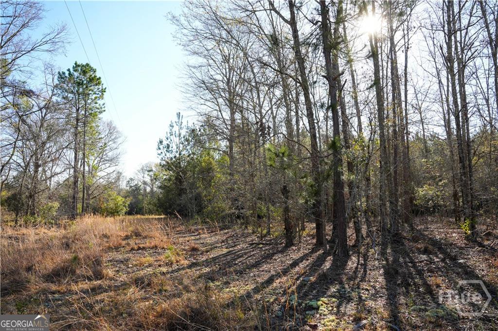This stunning 8.86-acre property is exactly what you've been waiting for! This expansive lot is in a highly sought after area and would be the perfect canvas to build your dream home on in the Southeast Bulloch School District. This property boasts built-in trails and roads for easy access throughout the wooded lot, ensuring maximum privacy and tranquility. The property is conveniently located 2 miles to HWY 67, 3 miles to Nevils Elementary School, 4 miles to I-16, and 7 miles to SEB Middle / High School. This property offers the best of both worlds - seclusion and accessibility. Imagine waking up every morning to the sounds of nature surrounding you, while being just minutes from great schools and your daily commute. Don't miss out on this rare opportunity to own your own dirt in a great area. Schedule a showing today and start envisioning the endless possibilities for this incredible property! *Deed Restrictions do Apply *