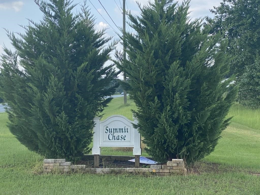 Growing Subdivision convenient to Warner Robins.