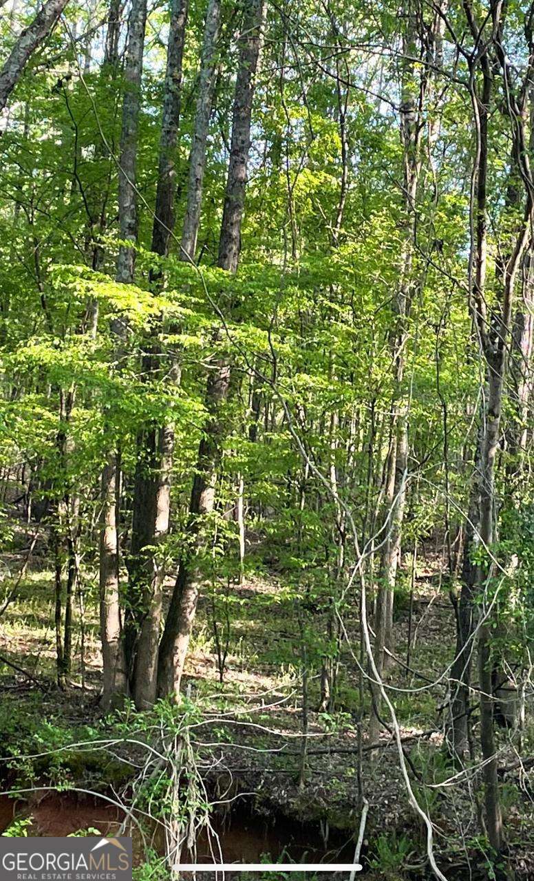 Excellent Opportunity! This lot offers a prime location with convenient access to major roads and local amenities. Perfect for building your dream home or as a long-term investment. Located in a quiet, up-and-coming area. Don't miss out on this great opportunity!