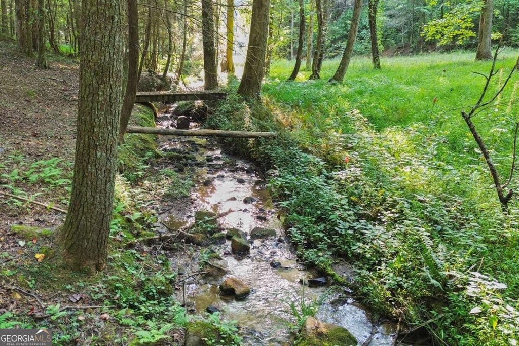 Photo of 546 Stillhouse Creek Drive, Ellijay, GA 30540 (MLS # 10878761)