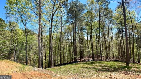 A home in Ellijay